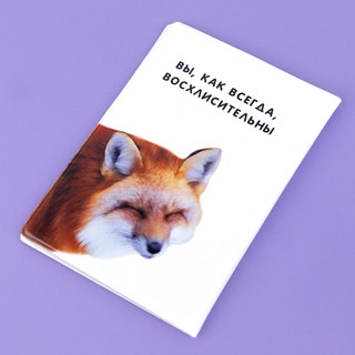 Обложка на автодокументы 'Гражданин фырфыр', артикул KW063-000096 2