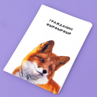 Обложка на автодокументы 'Гражданин фырфыр', артикул KW063-000096 3