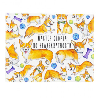 Обложка на студенческий 'Мастер спорта по неадекватности', артикул KW067-000133 1