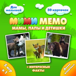 Обучающая игра Нескучные игры Ми-Ми-Мемо, 8050 4