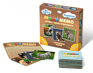 Обучающая игра Нескучные игры Ми-Ми-Мемо, 8051 2