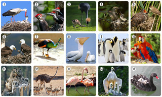 Обучающая игра Нескучные игры Ми-Ми-Мемо, 8052 4