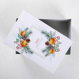 Коробка подарочная 'Новогодняя' №8, 26 х 17 х 10 см