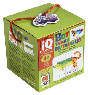 Вот такая путаница. IQ пазлы 6