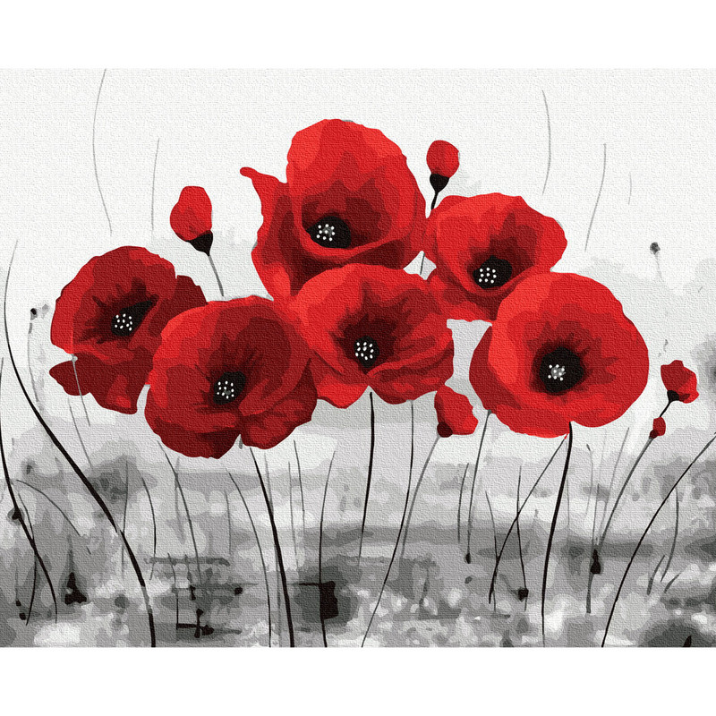 Картина по номерам 'Красные маки на сером фоне' 40x50 см