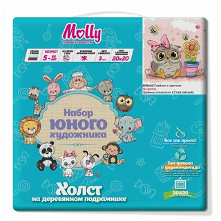 Картина по номерам 'Совенок с цветком' 20х20 см, Molly 2
