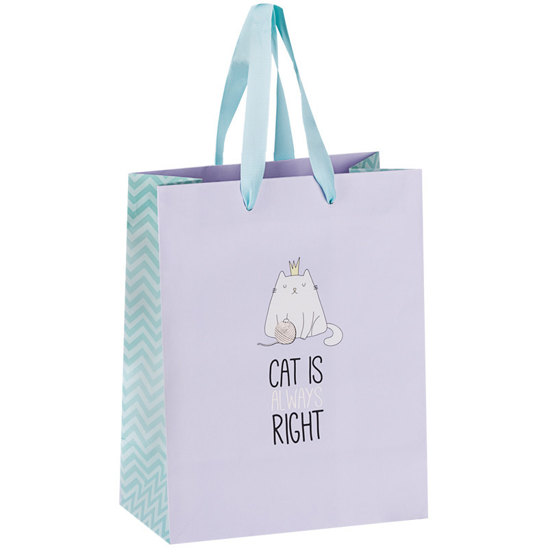 Пакет подарочный 'Right cat', 18x23x10 см MESHU, цвет голубой, фиолетовый