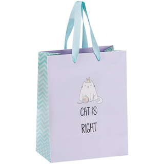 Пакет подарочный 'Right cat', 18x23x10 см MESHU, цвет голубой, фиолетовый