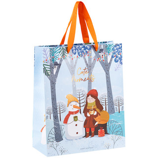 Пакет подарочный 