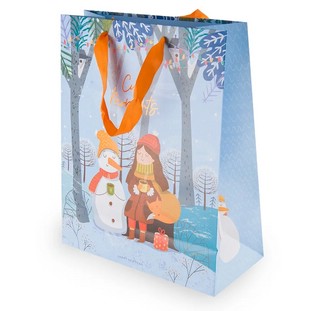 Пакет подарочный 