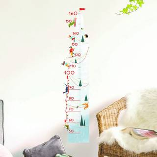 Ростомер 'Горнолыжный курорт' VoiceBook 2