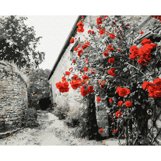 Картина по номерам 'Красные розы на каменной стене' (18 цветов), 40х50 см Molly