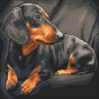 Картина мозаикой 'Такса', 30х30 см, 19 цветов Molly, цвет мульти 2