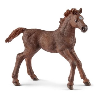 Schleich Фургон для тренировок, артикул 72141 12
