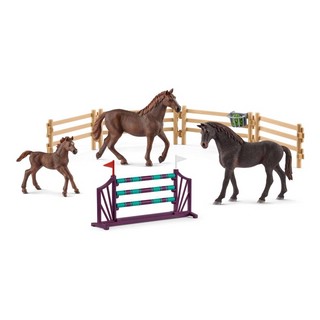 Schleich Фургон для тренировок, артикул 72141 3