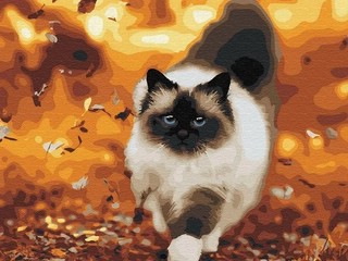 Картины по номерам 'Осенняя прогулка' 40х50 см 1