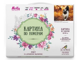 Картины по номерам 'Осенняя прогулка' 40х50 см 2