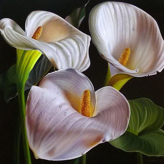 Картина мозаикой 'Белые каллы' (17 цветов), 30х30 см Molly, ц...