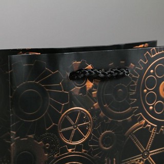 Пакет ламинированный вертикальный 'Steel' 23 х 27 х 11,5 см 3