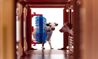 Набор 'Ферма' 4