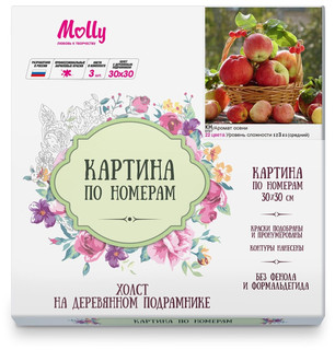 Картина по номерам 'Аромат осени', 30x30 см, Molly 3