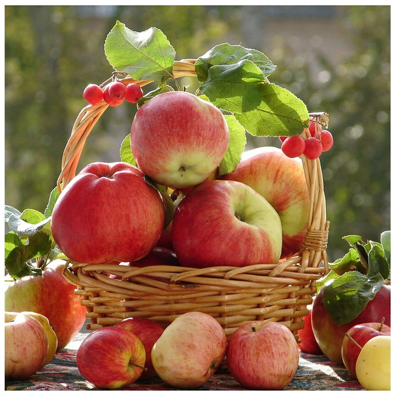 Картина по номерам 'Аромат осени', 30x30 см, Molly