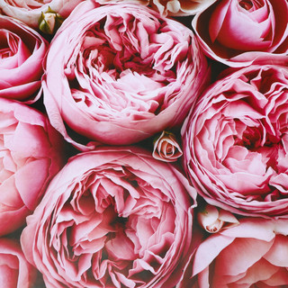 Бумага глянцевая двусторонняя 'Пионы', 0,5 х 0,7 м 4