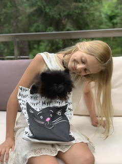 Сумка-шоппер 'Мур-мур', цвет белый, черный GSF 2