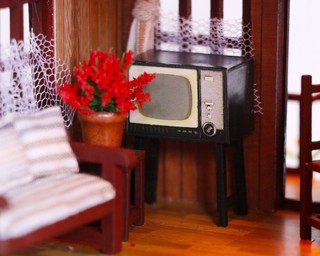 Румбокс HOBBY DAY На даче, артикул PC2010 11