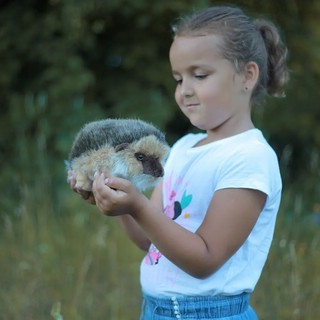 Ежик, 20 см, Hansa 7