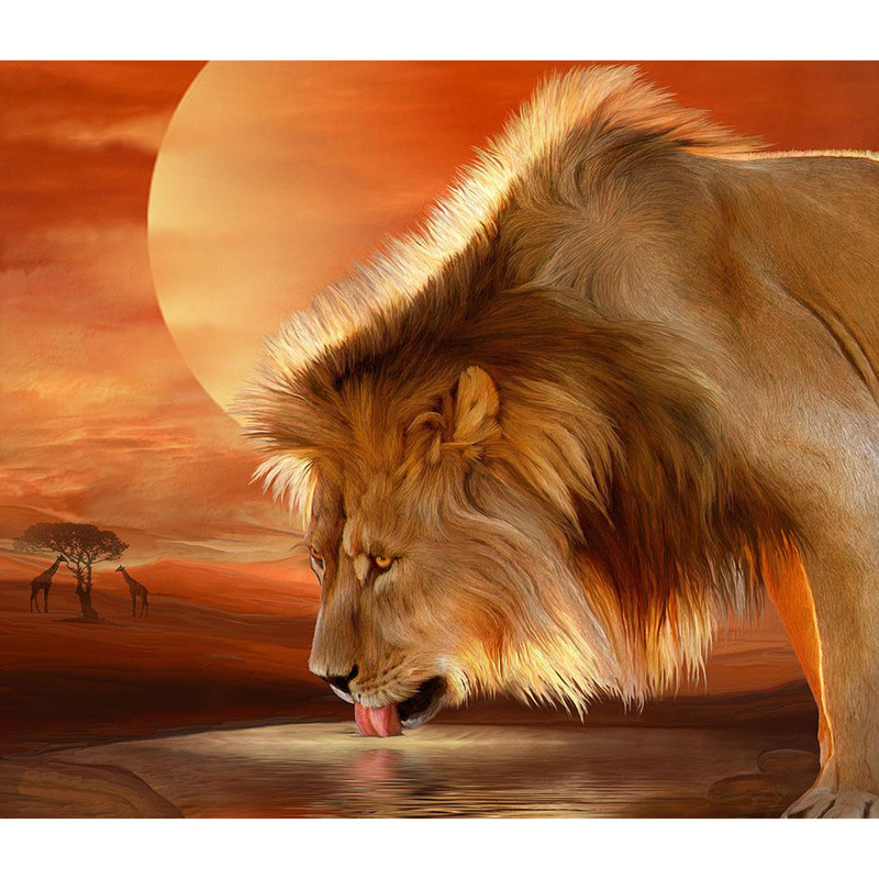 Картина мозаикой с нанесенной рамкой 'Лев на водопое' (35 цветов) Molly