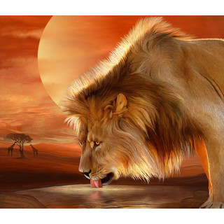 Картина мозаикой с нанесенной рамкой 'Лев на водопое' (35 цветов) Molly 1