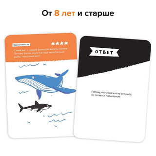 Игра-головоломка 'Критическое мышление' 6