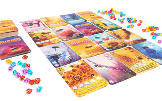 Игра настольная 'Эврикус. Пчёлы. Тайное королевство', арт. BG-17040 5