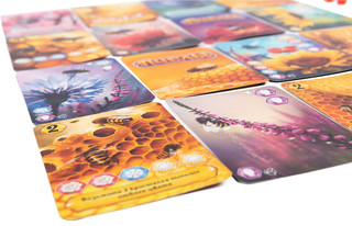 Игра настольная 'Эврикус. Пчёлы. Тайное королевство', арт. BG-17040 6