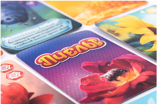 Игра настольная 'Эврикус. Пчёлы. Тайное королевство', арт. BG-17040 7