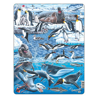Пазл «Животный мир Антарктики», 66 деталей, Larsen