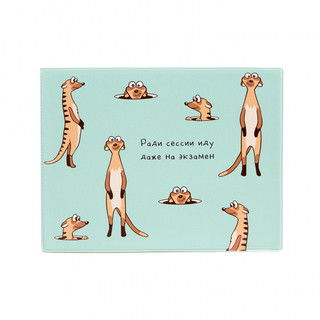 Обложка на зачетную книжку 'Сурикаты', артикул KW067-000240