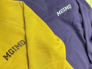 Свитшот с логотипом MGIMO 5