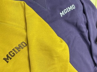 Свитшот с логотипом MGIMO 5