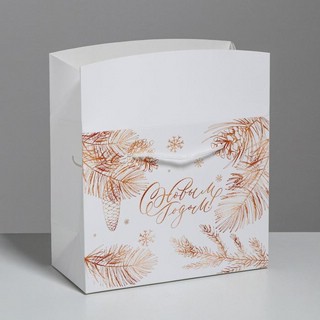 Пакет-коробка 