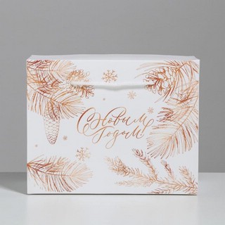 Пакет-коробка 