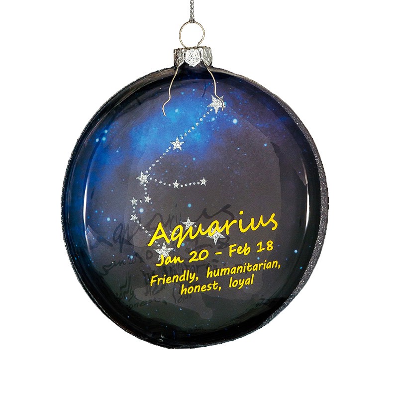 Украшение ErichKrauseR Decor Водолей медальон 10см, стекло