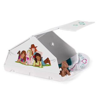 Набор Schleich «Аксессуары для кэмпига» 2