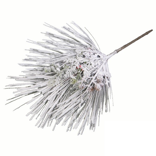 Ветка хвойная 