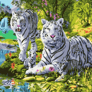 Картина по номерам 'Семейство белых тигров' 30x30 см, Molly