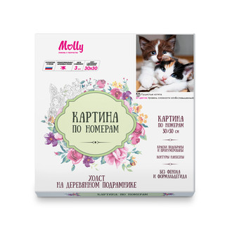 Картина по номерам 'Пушистые котята' (27 цветов), 30х30 см Molly 2