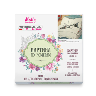 Картина по номерам 'После обеда' (21 цвет), 30х30 см Molly 2