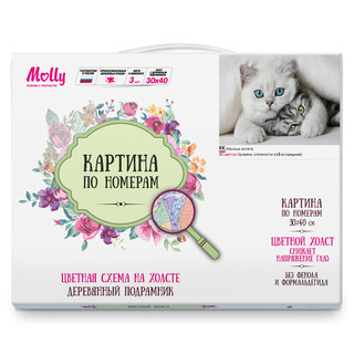 Картина по номерам 'Милые котята' (20 цветов), 30х40 см Molly 2