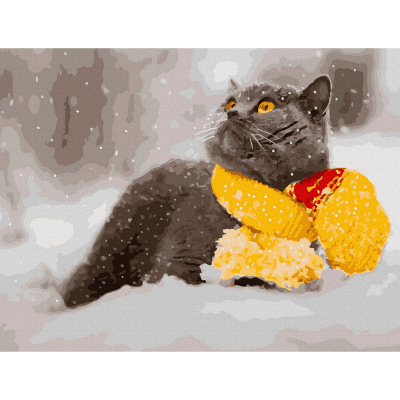 Картина по номерам 'Британец в шарфе' (20 цветов), 30х40 см Molly